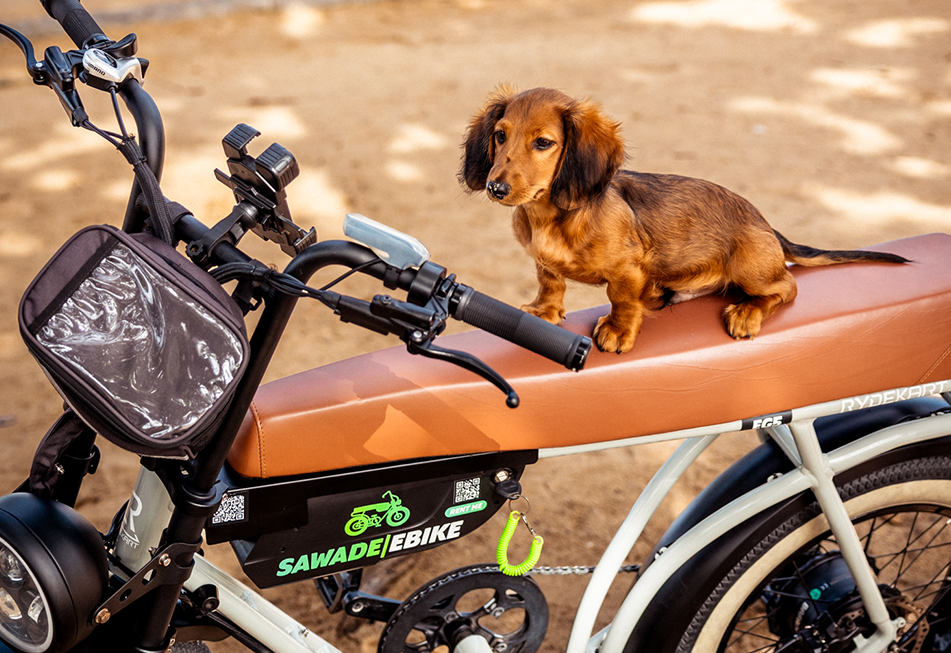 A small dog riding and Earl Grey ebike at Naiharn Beach